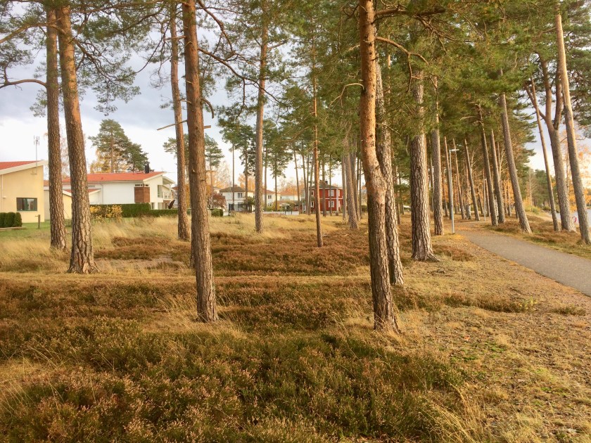 AA38099A-9121-4341-BA83-45560BC4A980