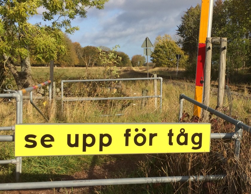 C63ECFCF-4503-4C45-A6C5-67DA43FA26C2