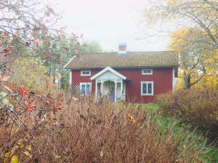 F060C27D-FA89-4270-B3C8-78EB0E107170