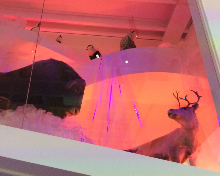 144CB52D-48E2-4EEF-8BB2-145748402E2F