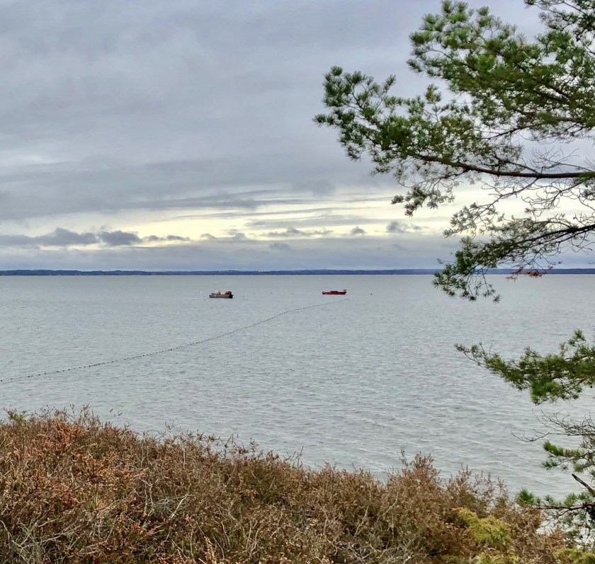 1AA8351C-AB18-4941-85E1-383454C19F31