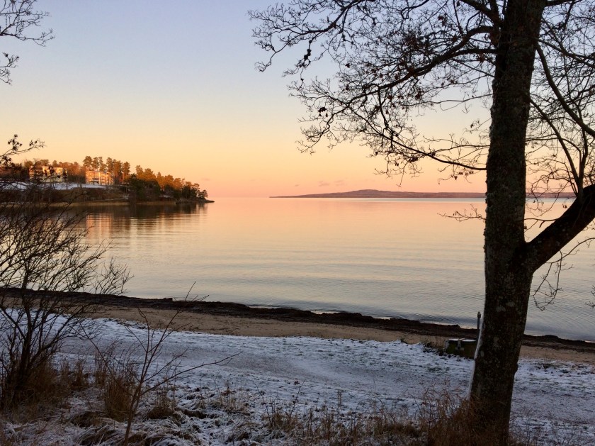 22B8E895-4F89-4331-80DB-F8B6977FA06B