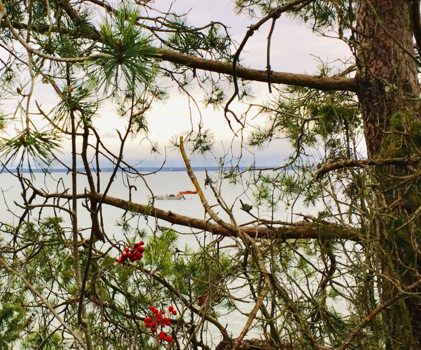 6187E3C4-7C3E-4C8B-8530-DD9F92CD21C6