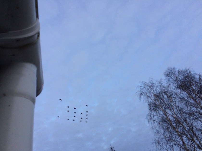 6DA3D9ED-05EC-4F5A-B606-BB1C2D0AEFA6