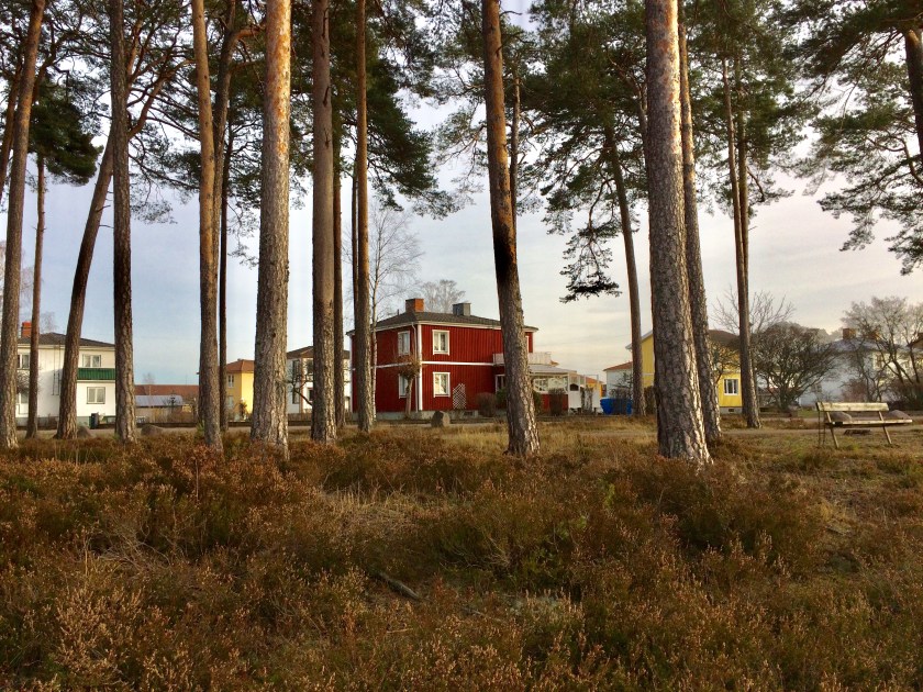 64583F11-454E-4E7F-B61D-E20CD4BFFDE9