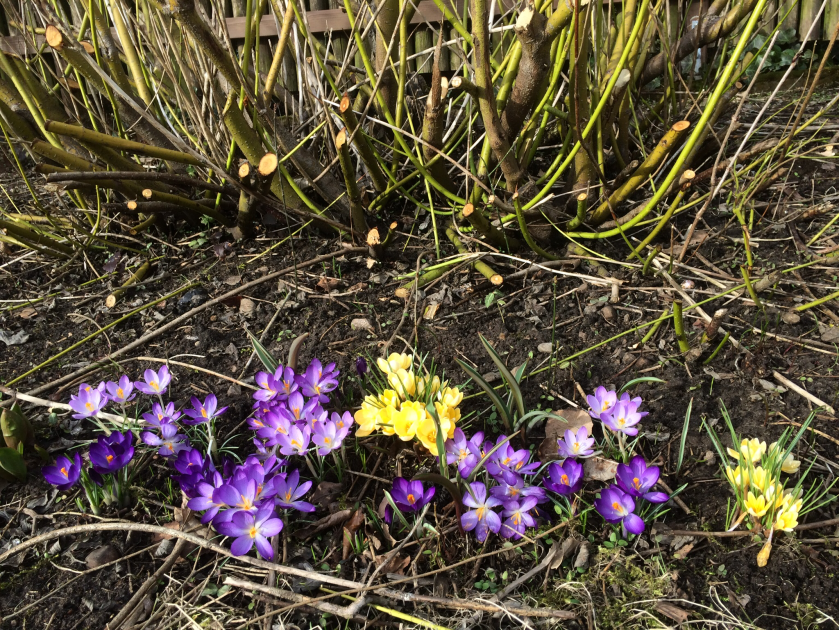 D0DB8A8C-567F-4E53-92E4-ABB6126C0328