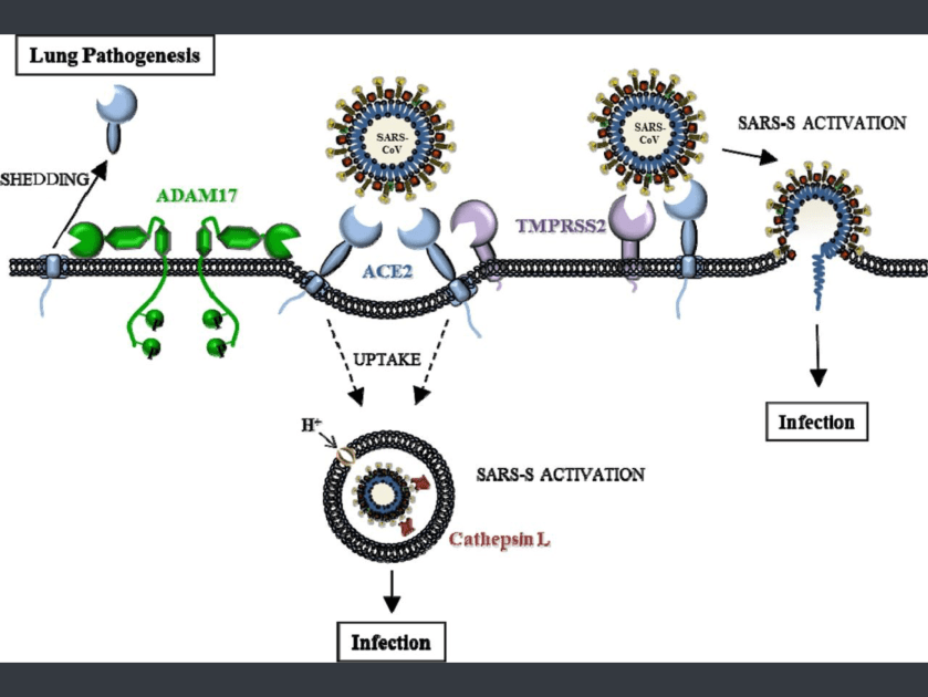 334EA14E-D282-45EE-881F-643405F0465D