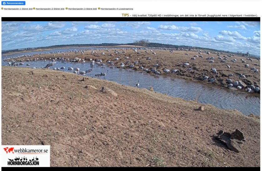 0EA8D2EA-4D54-4481-8D7A-FC8EF5A68017