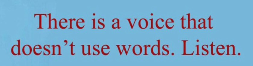29F88750-8A70-41A6-A4FE-359E98A6FF5D