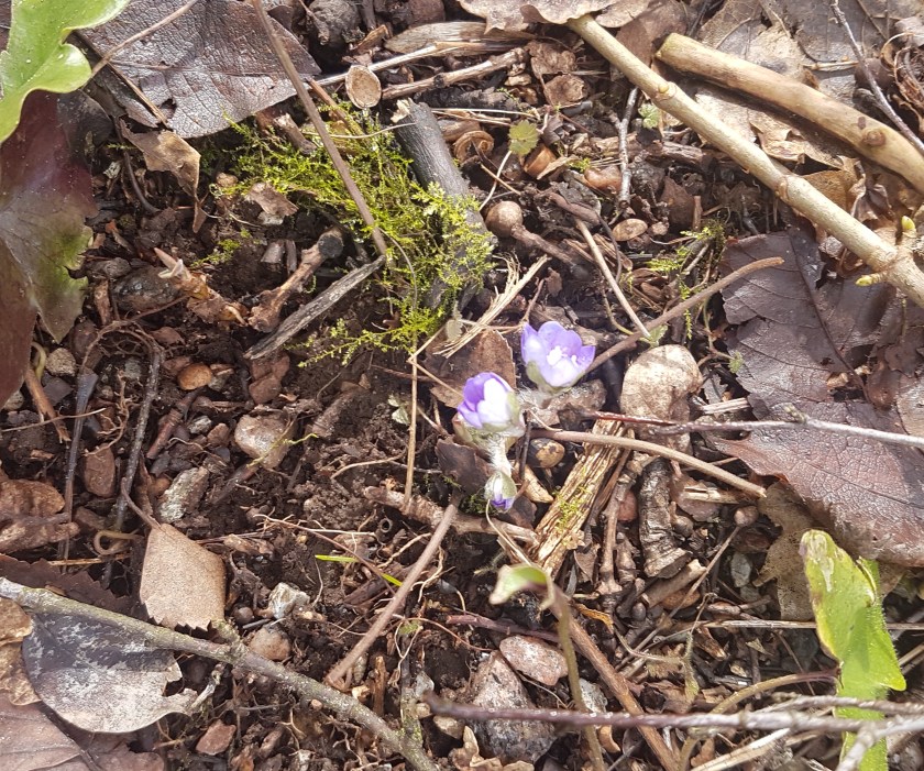 3335B7FF-5547-474F-864A-650B14C2B8CE