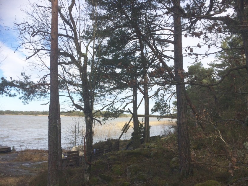 3E2D0D58-1BD3-4CBD-B649-44443244FF1E