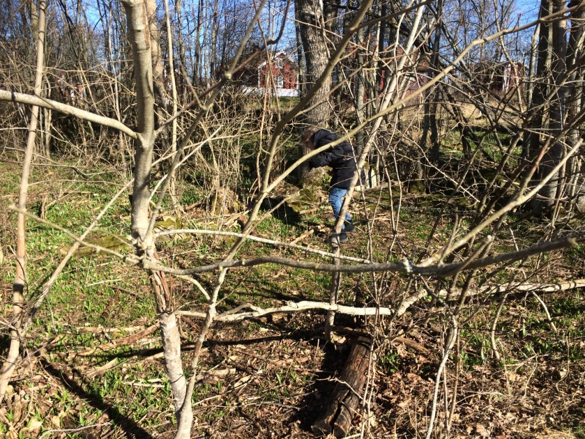 5CD24654-5956-4094-BB39-D3BA7DECB0BB