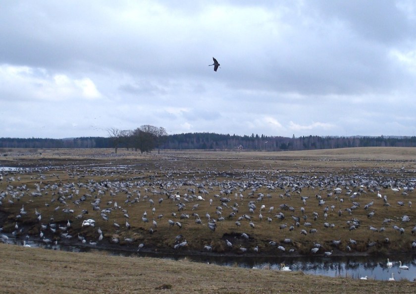 99089125-73A6-4867-AC7F-F43ABB2DC744