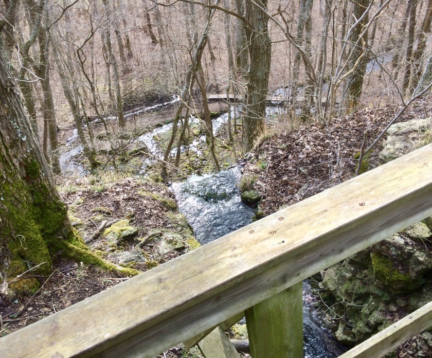 A2E164F4-ABA2-453D-B0B8-744F9CD1FC6C