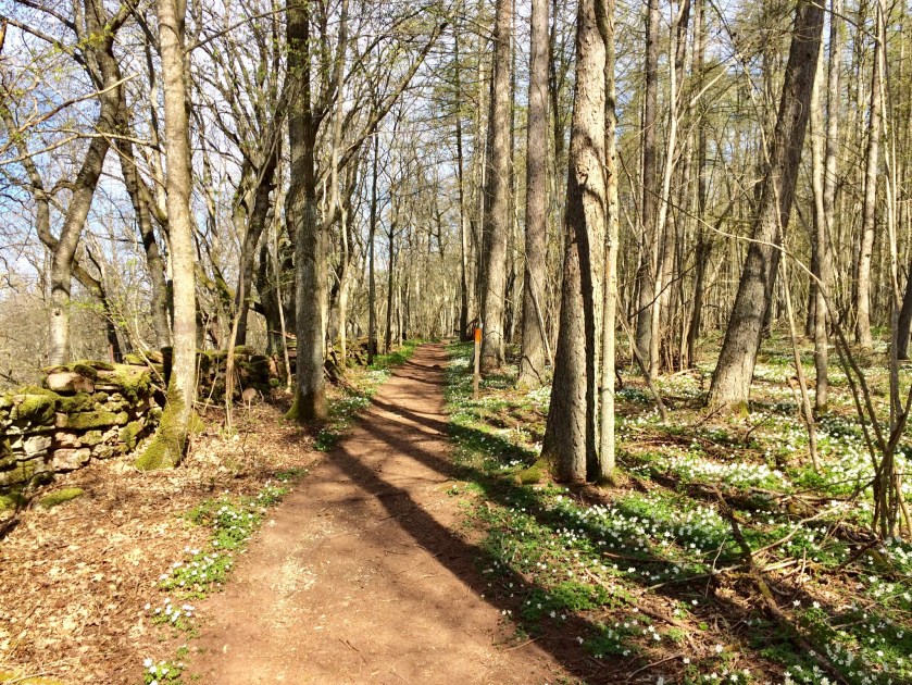 69012FAB-50BB-4B0C-9D1F-F1EA996F53F5