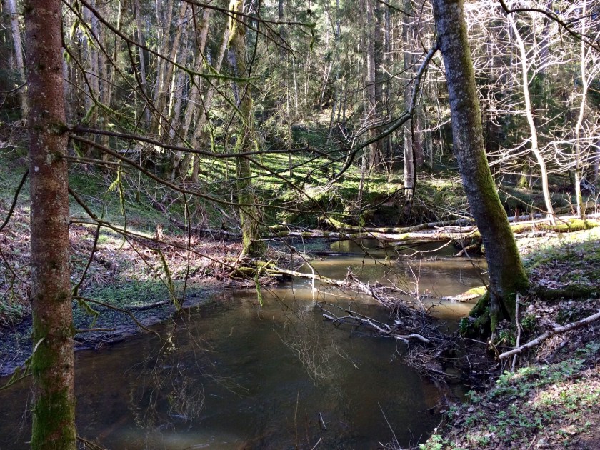 6EC437E2-2694-4B9F-8A0E-647D26493579