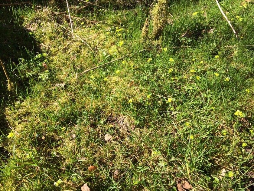 8084AA00-0305-4B58-9833-52BB8057704E