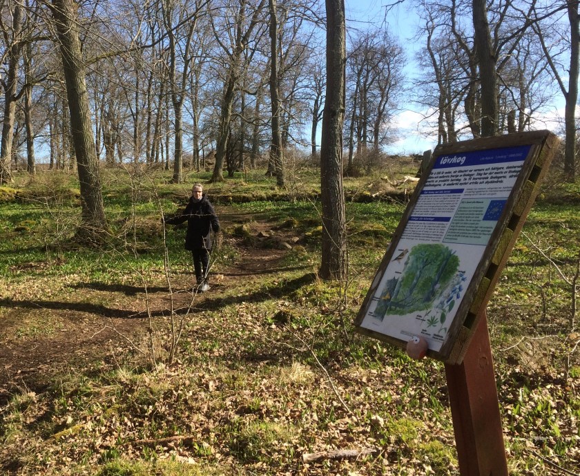 88184414-0B49-41E1-9E44-CE7103D19E76