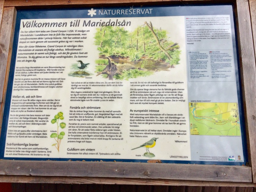 8B6E4CFD-45BC-45F1-A9C7-BFF5BBC06A5F