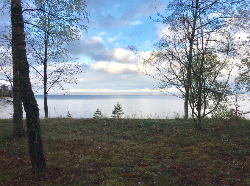 90ADF4B3-0D98-4D0A-BDDD-150B79BA64E4