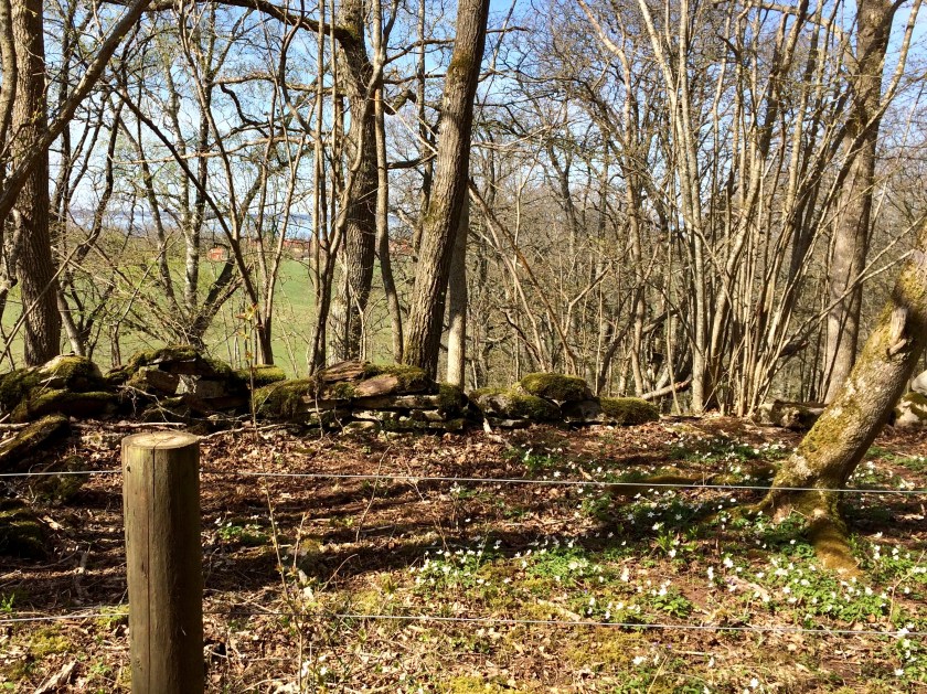 9ABB3100-B429-4CB3-86AA-A2EDFC835D12