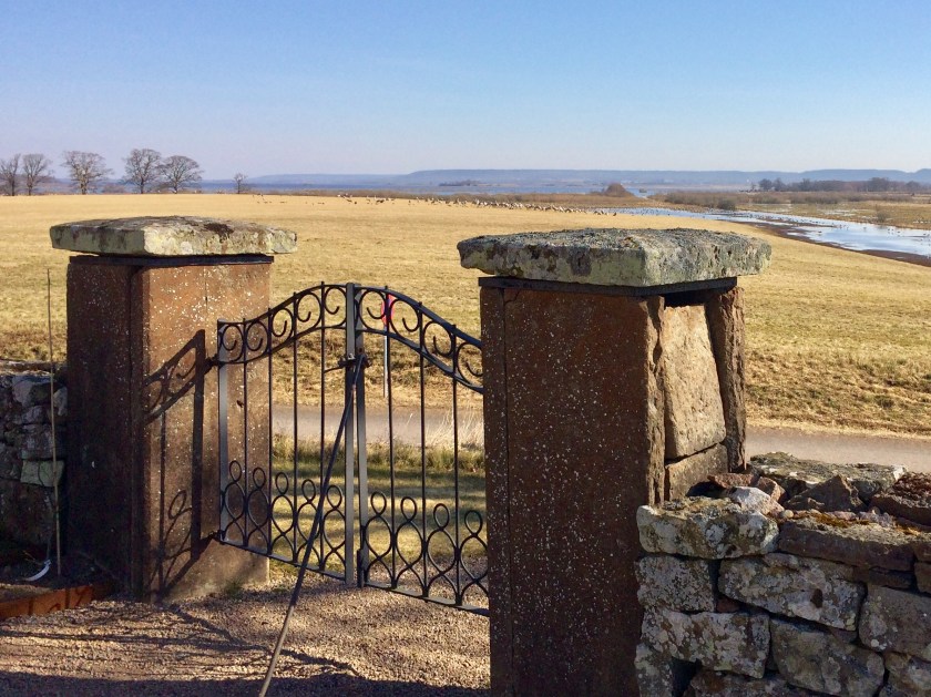 9D68D966-C2DC-4131-A7A3-9281EAE5D4D9