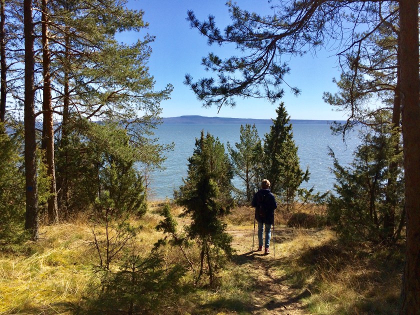 B4C42A87-59D4-4C9F-B268-EC99E882B4C7