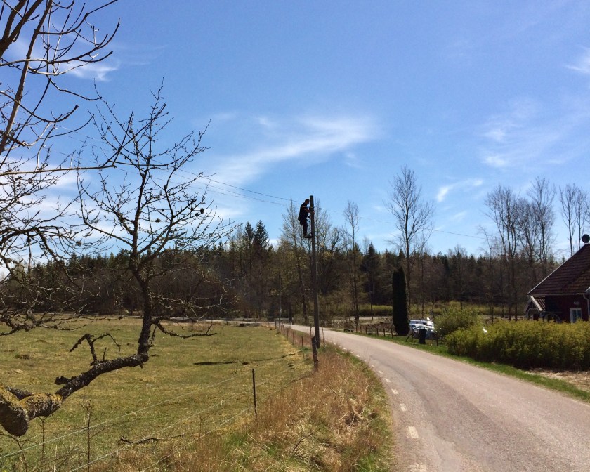 D59037C4-E981-4187-946D-B67DFEE70D09