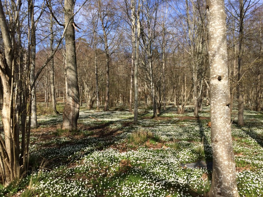 E463F4A8-D776-4E55-B0E0-2D9D9EAAE346