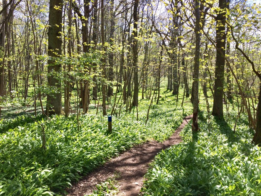 0194CFBB-DE5B-4A05-A899-D938B23D8E2A