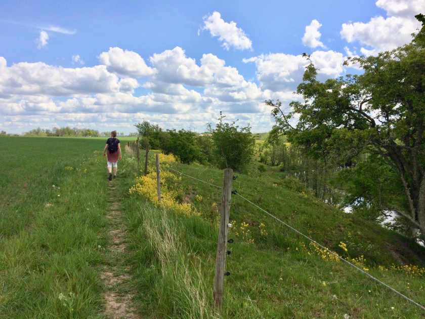 10B1F143-39CF-46DA-9556-7D6AE29D2B27