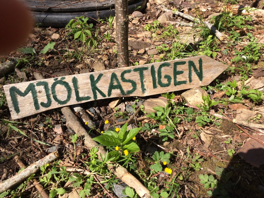 126C67AA-97B0-4DC4-93B1-CC9CC8890BF9