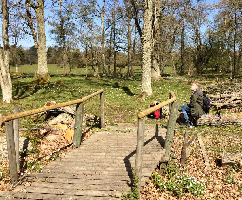 186E5B21-8687-46AA-A19C-59047E102A4F