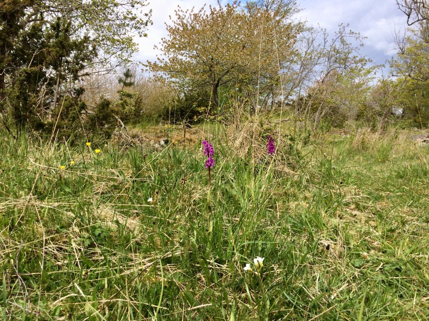 27A5E975-5389-4FE0-8D53-0641BBF59CC6