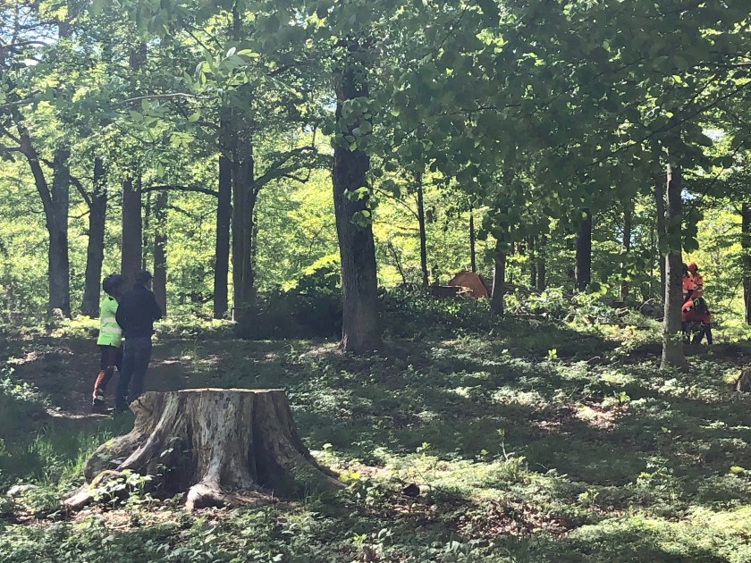 41174C54-6084-465E-A48B-C684F4860E9F