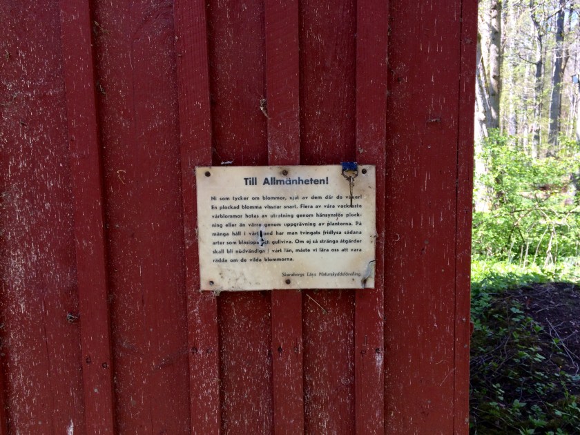 41723DE3-6518-49CC-B8C6-2686927E9A49