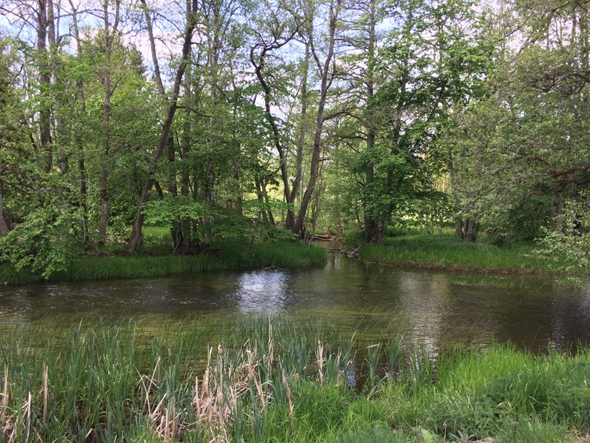 4DCD57BE-A664-4DF0-AA4D-8A77B86C0796