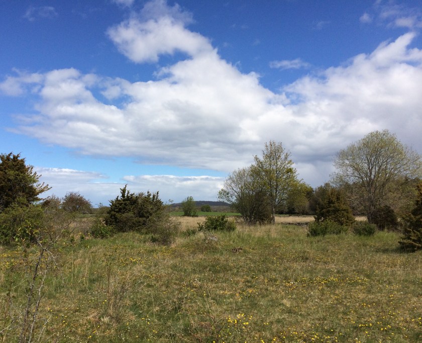 622D3190-3B89-49F8-9C75-1F07A6109B50