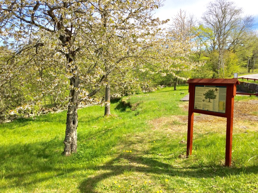 6B694D82-A279-4CB3-B2C4-8554A0AE98AC