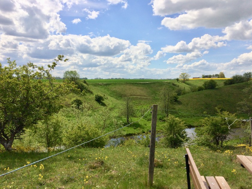 72FCA191-8983-4445-8254-5E83175D10B3