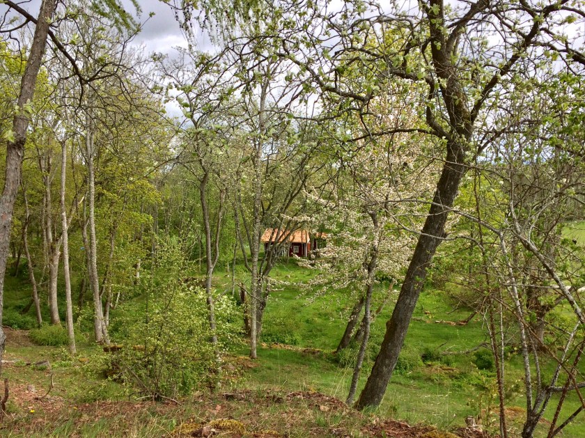 805D3678-BED9-4521-9EBC-AAE0C3FEE950