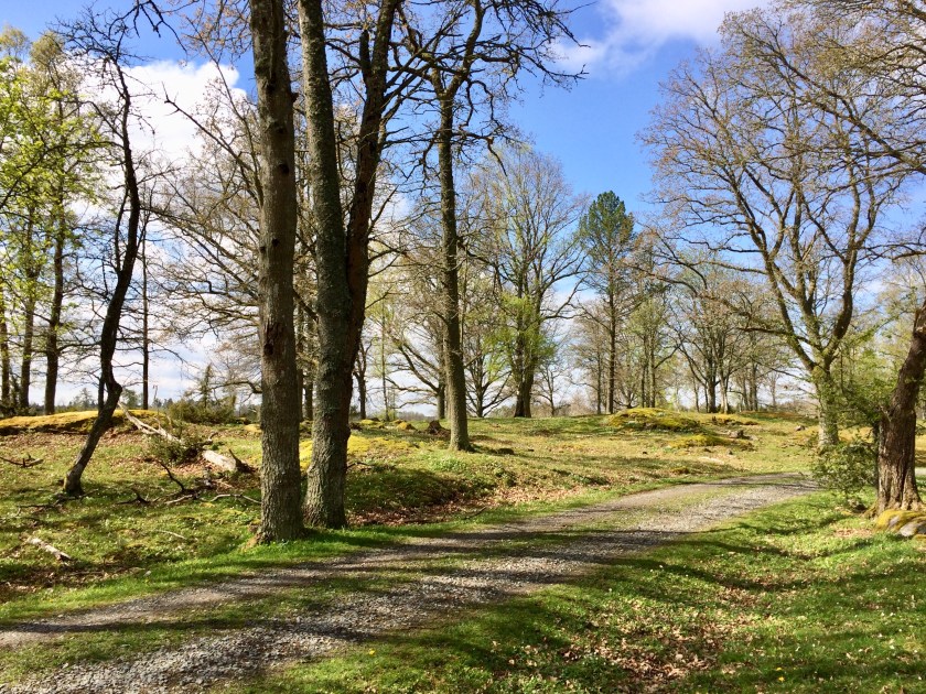 A5590F45-60A5-4176-AB2A-F0565B358A43