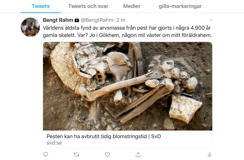 A7311640-F883-496B-8781-2BA790DEDCBF