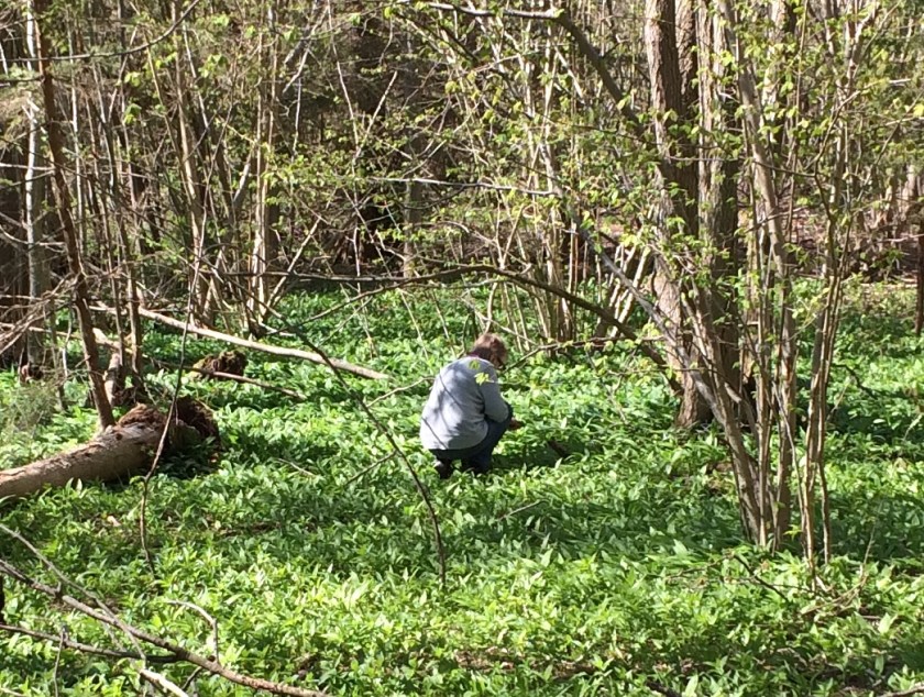 BA057750-B4F3-497D-B68A-DB8014E3159F