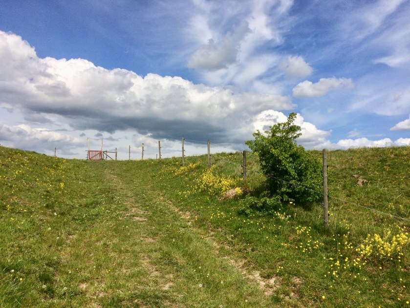 C3585036-52F2-42A8-925C-6B1E121C3577