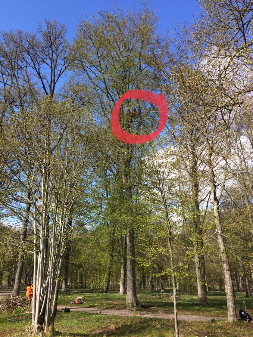 CFADAC7C-1A6B-4A97-AB23-120B42C246E0