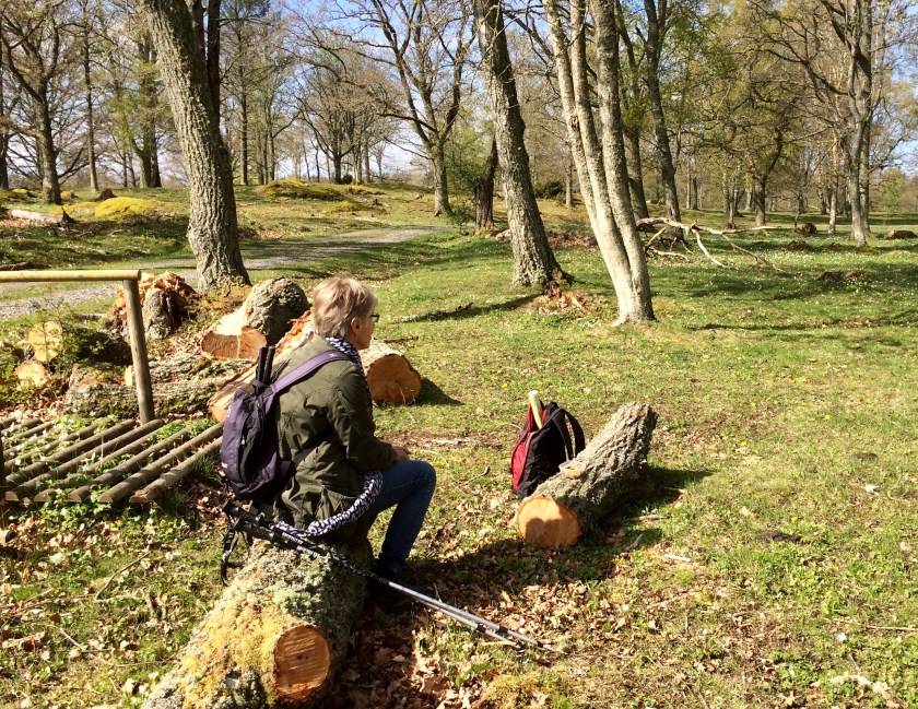 D267CF94-BD34-4950-A6E8-226E35540DCA