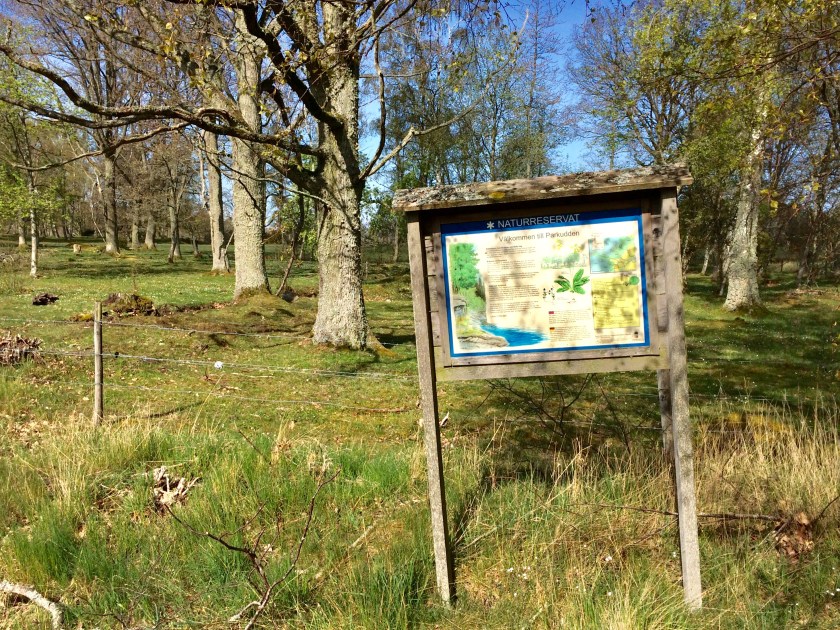 D480E995-88FF-4466-8286-29CAC01359EC