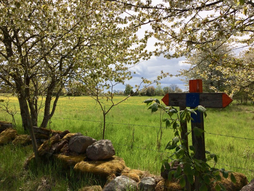 D93A9D67-EB18-4DA4-9CCE-7172A14A386E