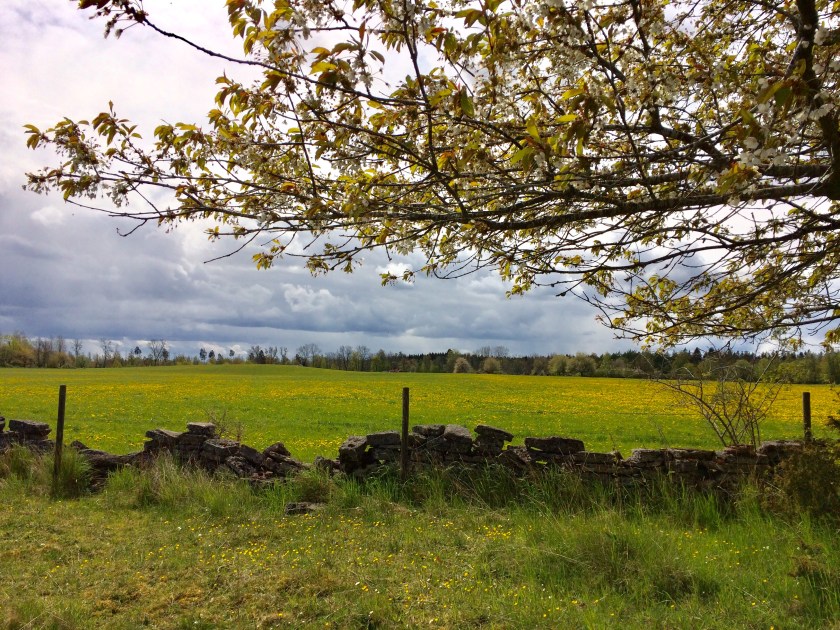 EE904101-BA03-4119-B58A-77A3E0BCD6FA